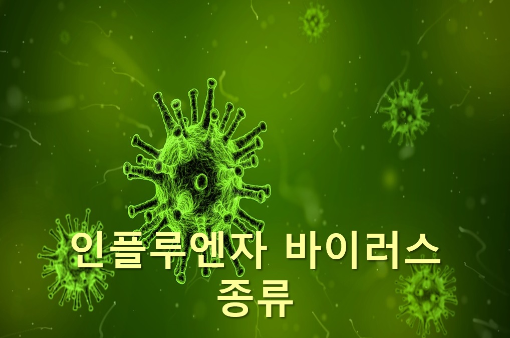  독감 증상이 의심될 때 시행하는 인플루엔자 검사 방법