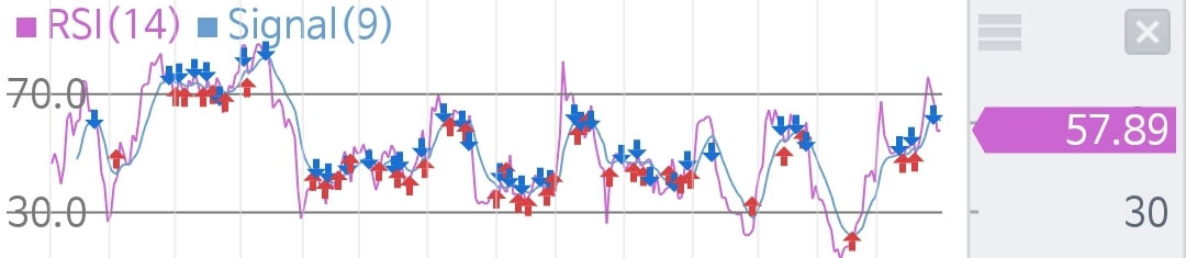 RSI 차트 사진