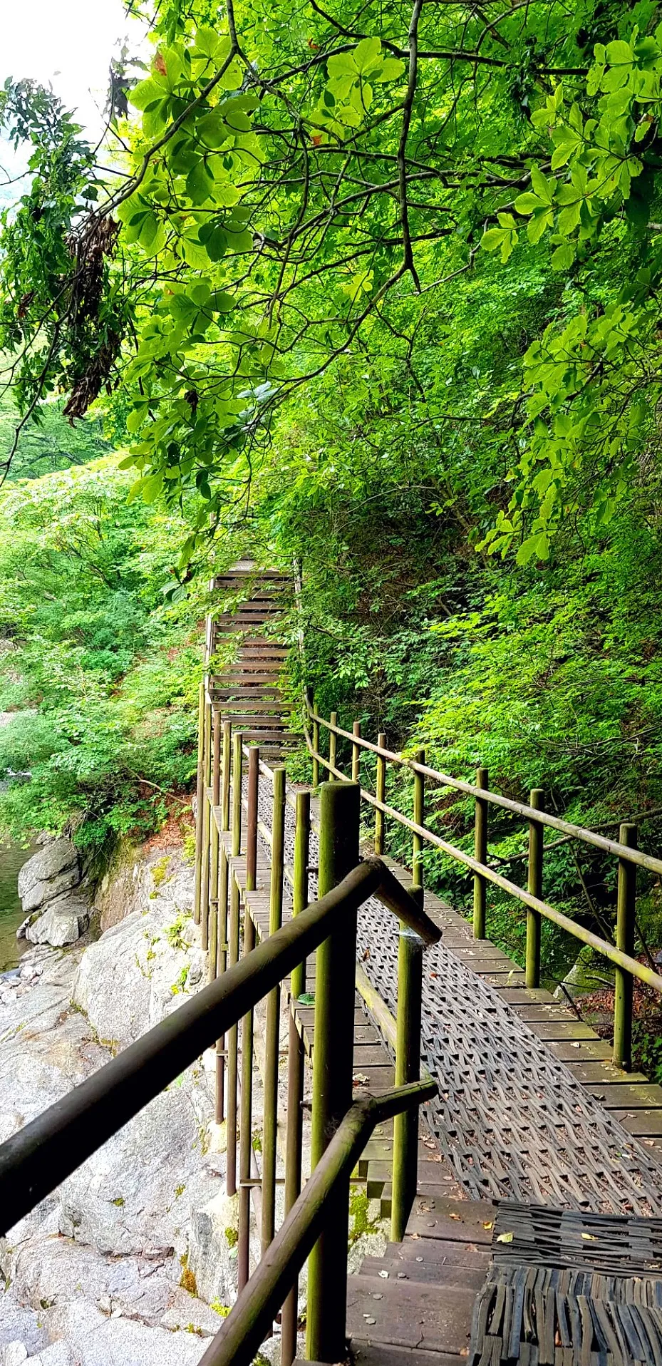 지리산 칠선계곡 계곡치기