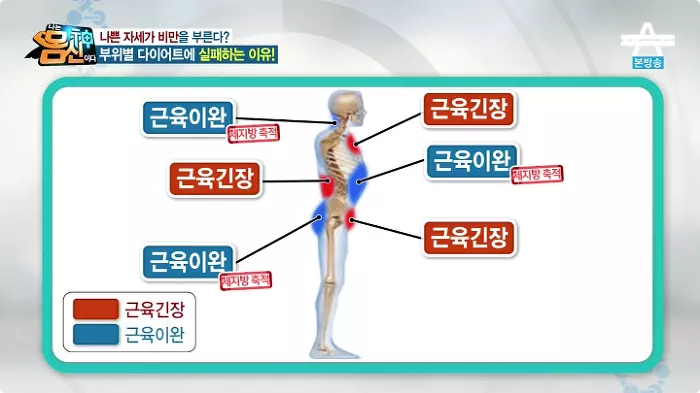 다이어트는 자세 교정부터