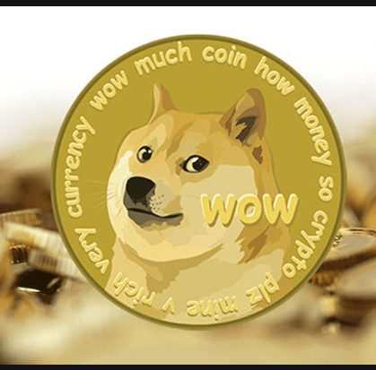  도지코인(DOGE) 시세 전망 일론 머스크