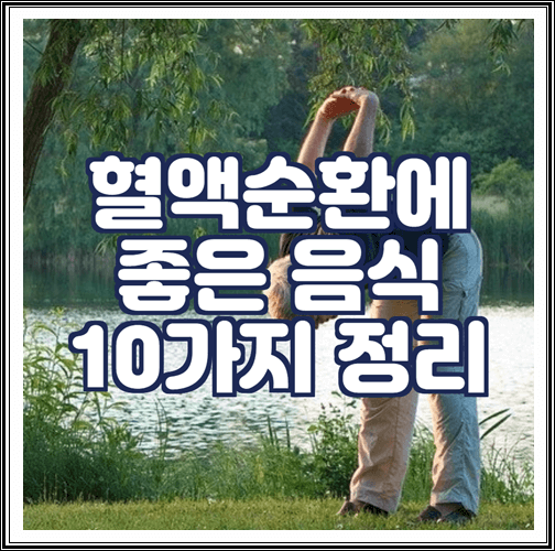  혈액순환에 좋은 음식 10가지 정리