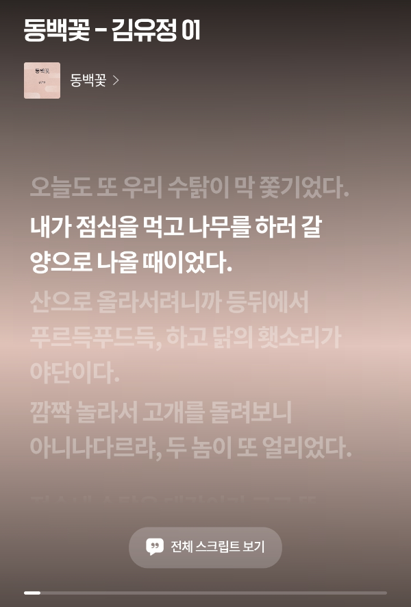 오디오클립 오디오북 스크립트