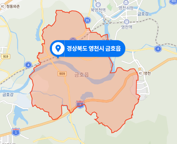  경북 영천시 금호읍 주택 화재사고 사망사건 (2020년 11월 30일)