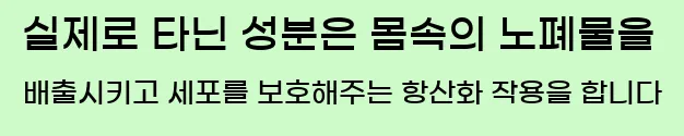  실제로 타닌 성분은 몸속의 노폐물을 배출시키고, 세포를 보호해주는 항산화 작용을 합니다.