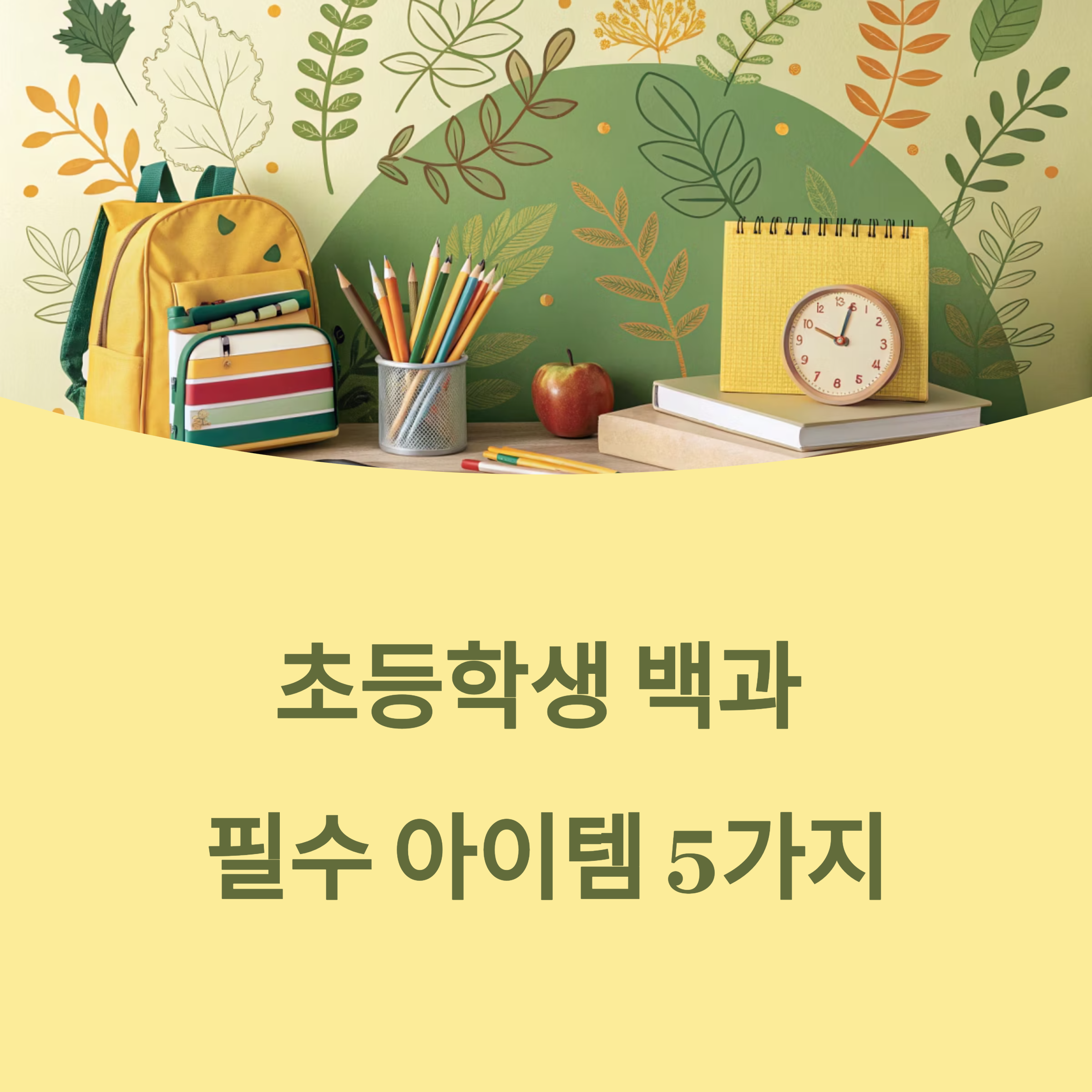 초등학생 백과 필수 아이템 추천 리스트
