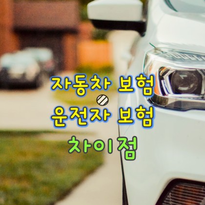자동차-보험-운전자-보험-차이점