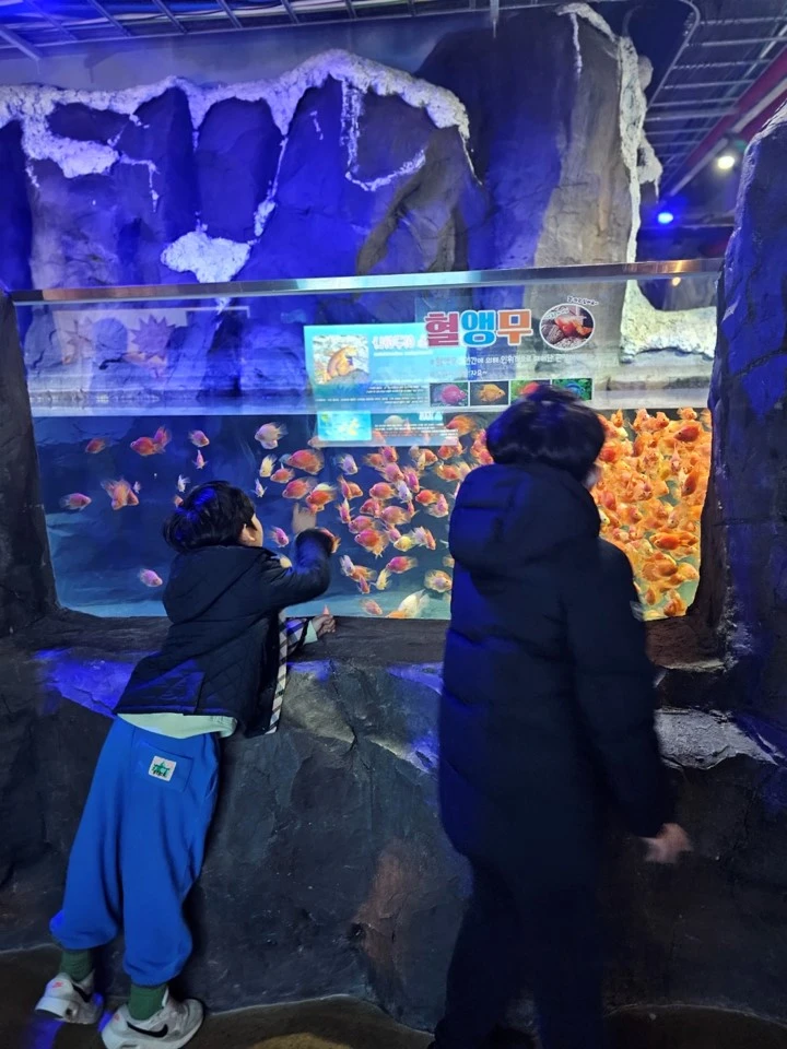 아쿠아리움 내부사진