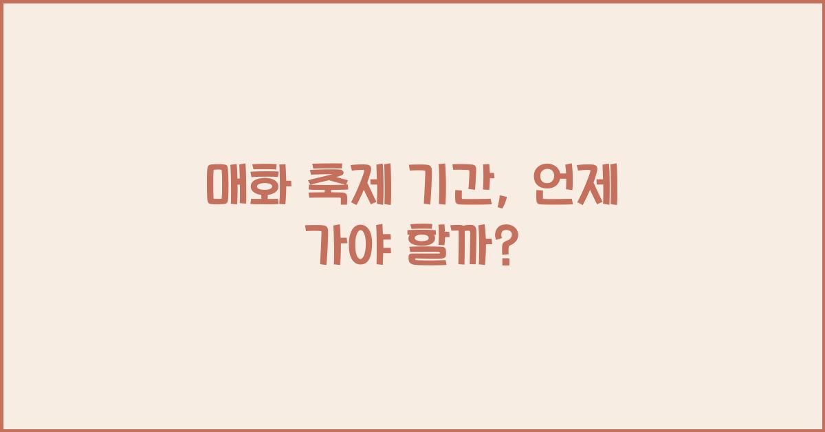 매화 축제 기간