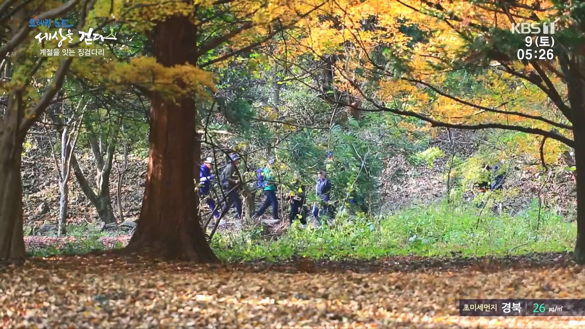 트레킹노트 세상을 걷다.E298.231209p.H264-F1RST.mp4_20240105_205422.148.jpg