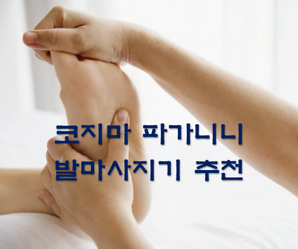  코지마 파가니니 발마사지기 추천