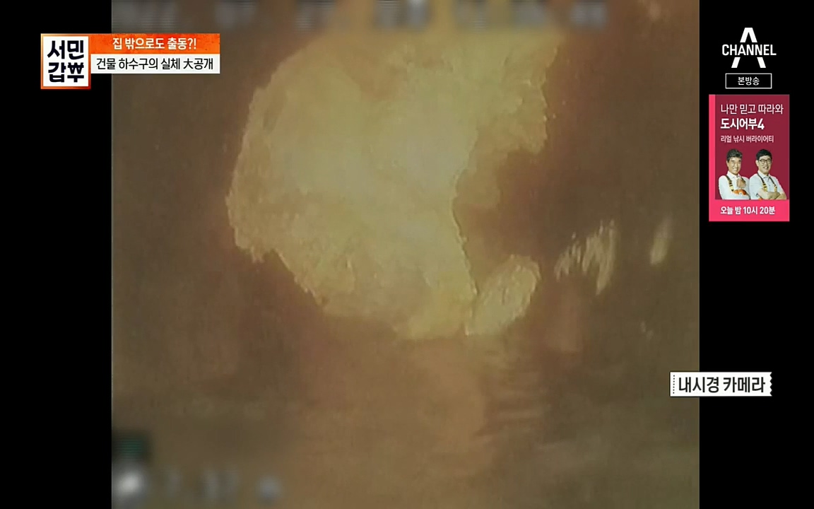 서민갑부.E398.220828p.H264-F1RST.mp4_20220828_133143.618.jpg