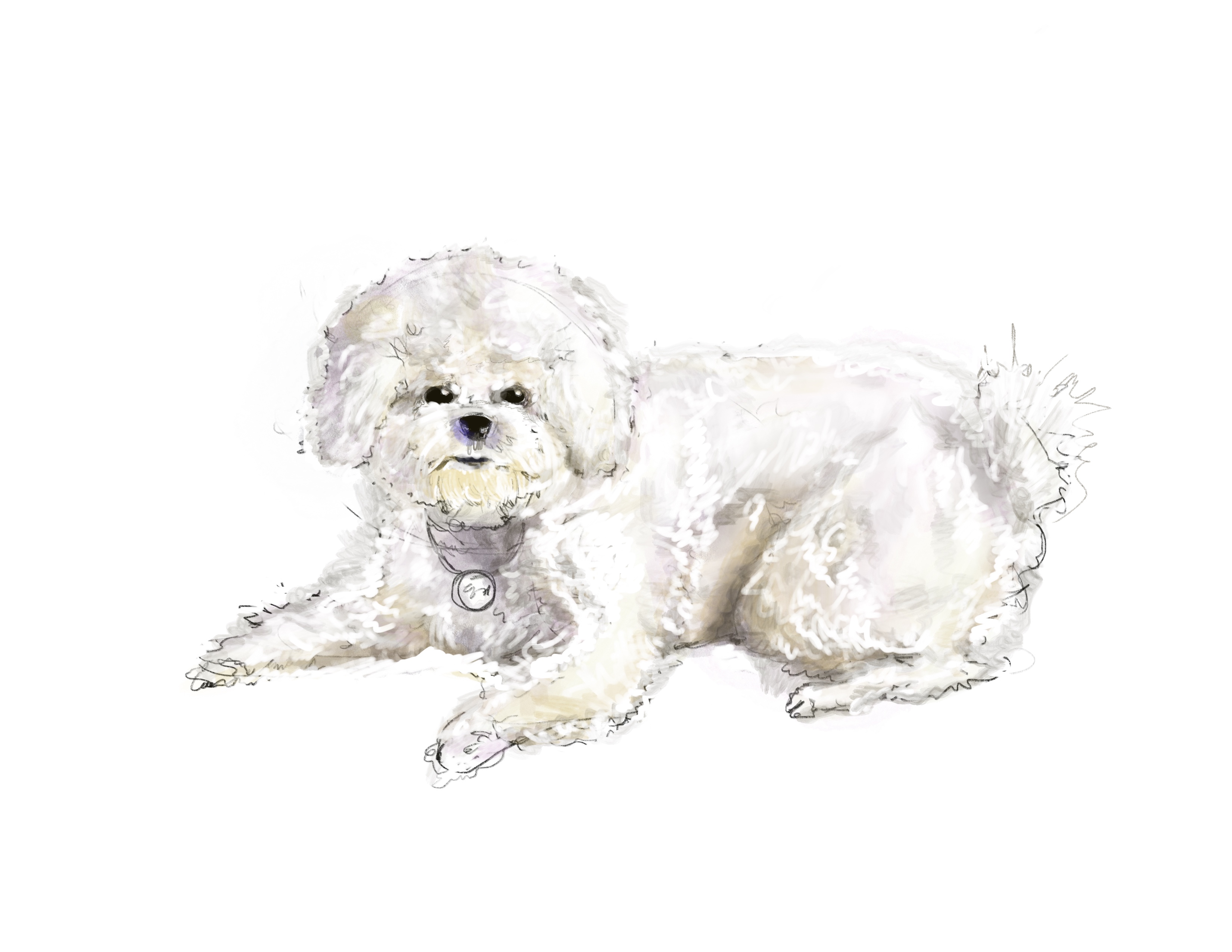  강아지 태블릿 그림, 아이패드 프로크리에이트 앱 그림 덩키