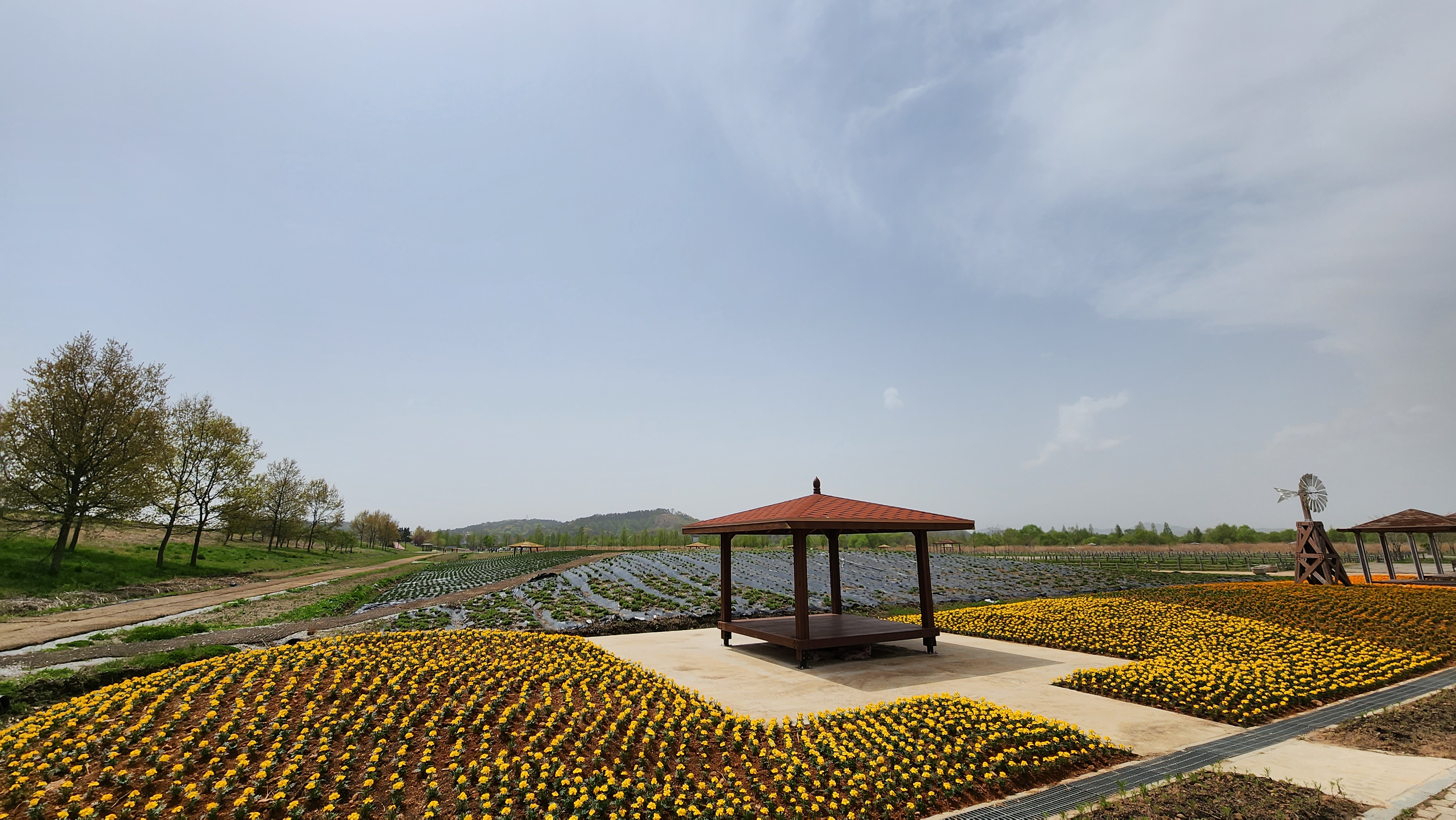 용안생태습지공원 정원