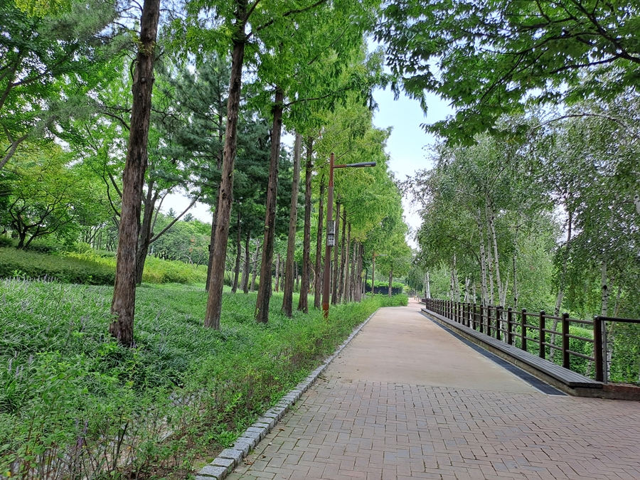 선유도공원-산책길