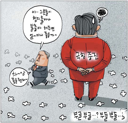 1650980.jpg