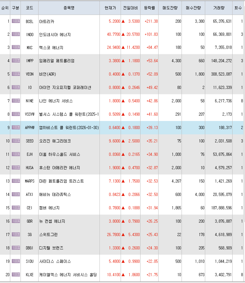  3월4일 미국주식 상승률 상위 종목 TOP 300