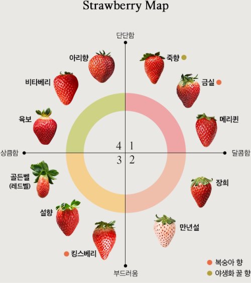  딸기 품종 지도 strawberry map