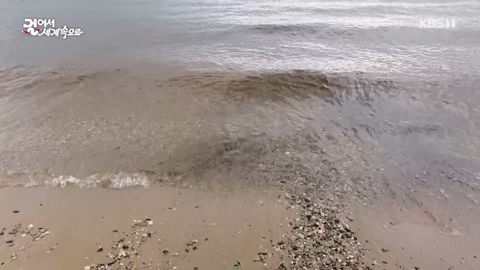 걸어서 세계속으로.E796.230617p.H264-F1RST.mp4_20230623_212626.382.jpg