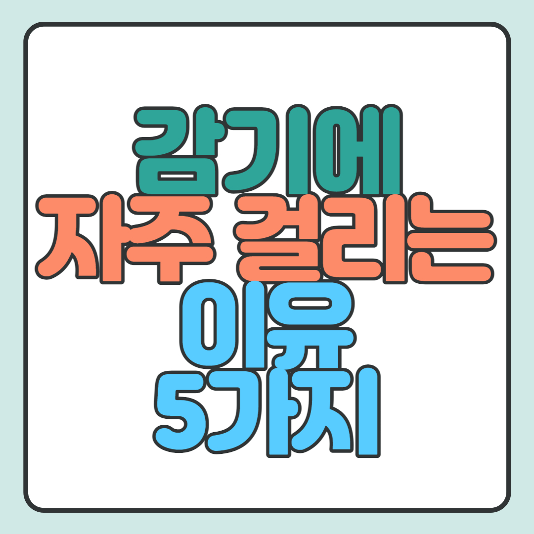  감기에 자주 걸리는 이유 5가지 와 대처법 총 정리