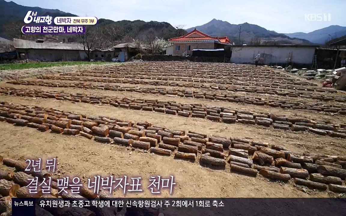 6시 내고향.E7523.220421p-NEXT.mp4_20220507_181127.436.jpg