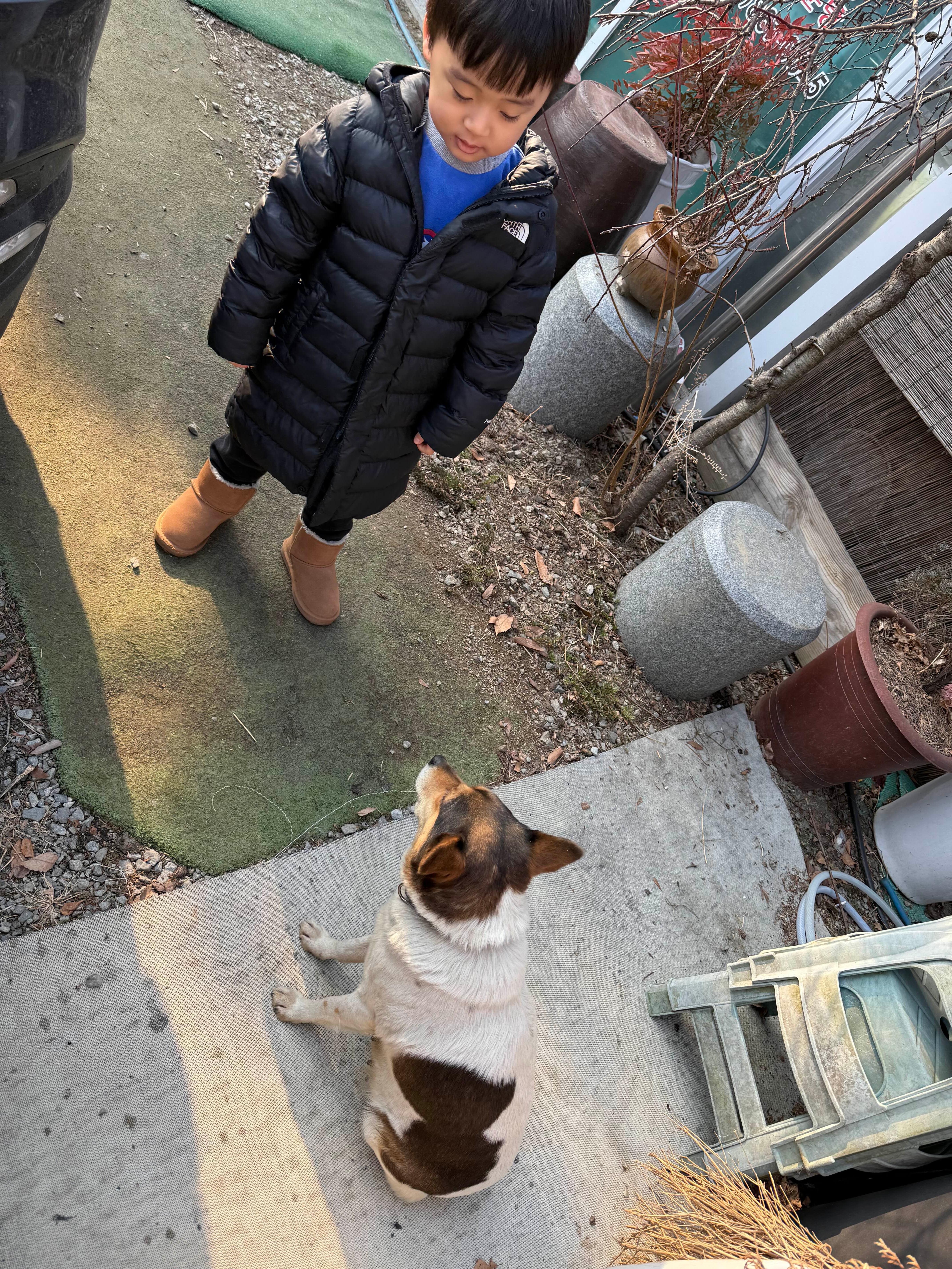 복사골 4
