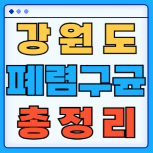 강원도 시군별 폐렴구 증상 무료 예방접종 백신 비용지원 신청방법 총정리