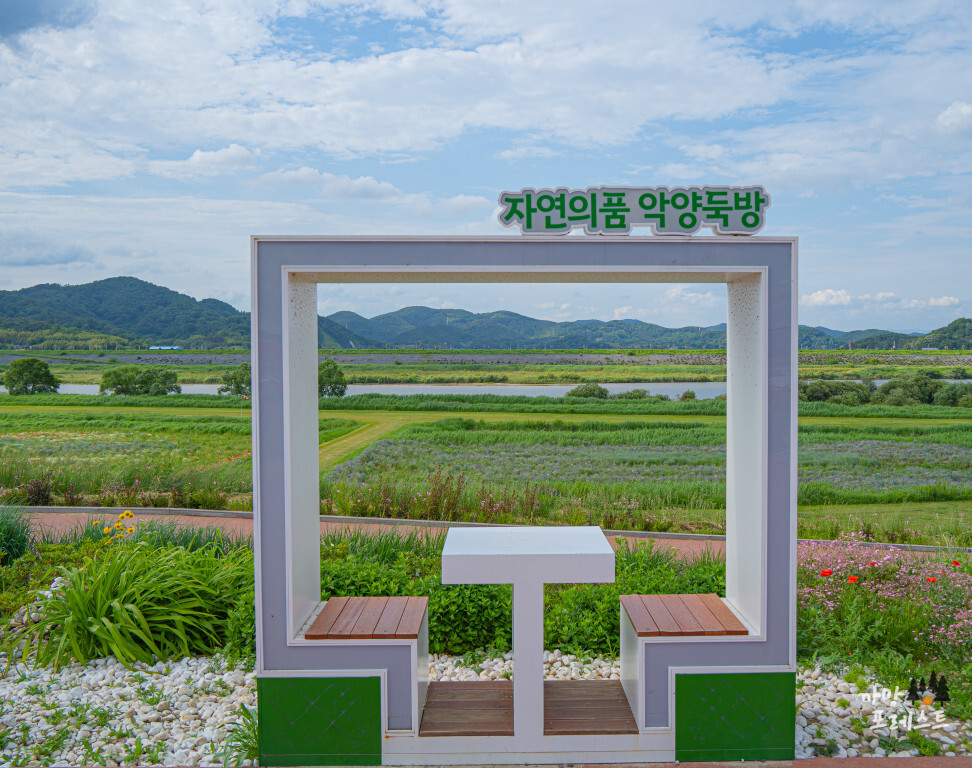 함안 악양 둑방길 포토존