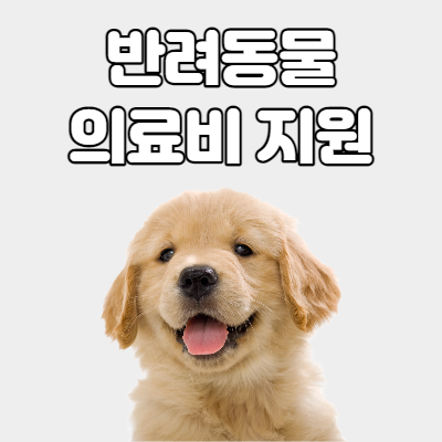  반려동물 의료비 지원 지원대상 및 신청방법