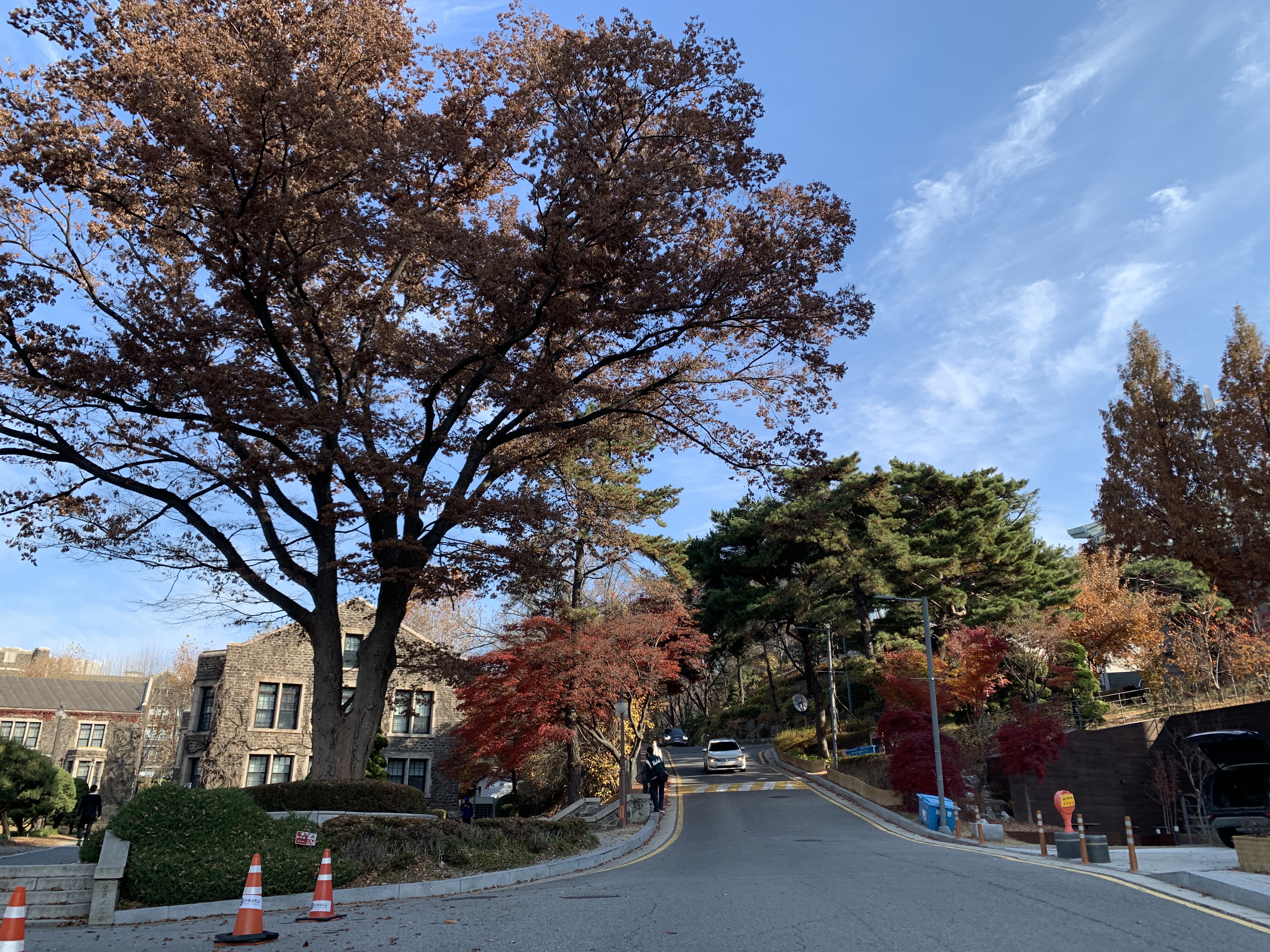 연세대학교에서 안산 가는 길