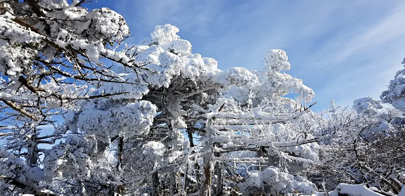제주 한라산 설경 상고대