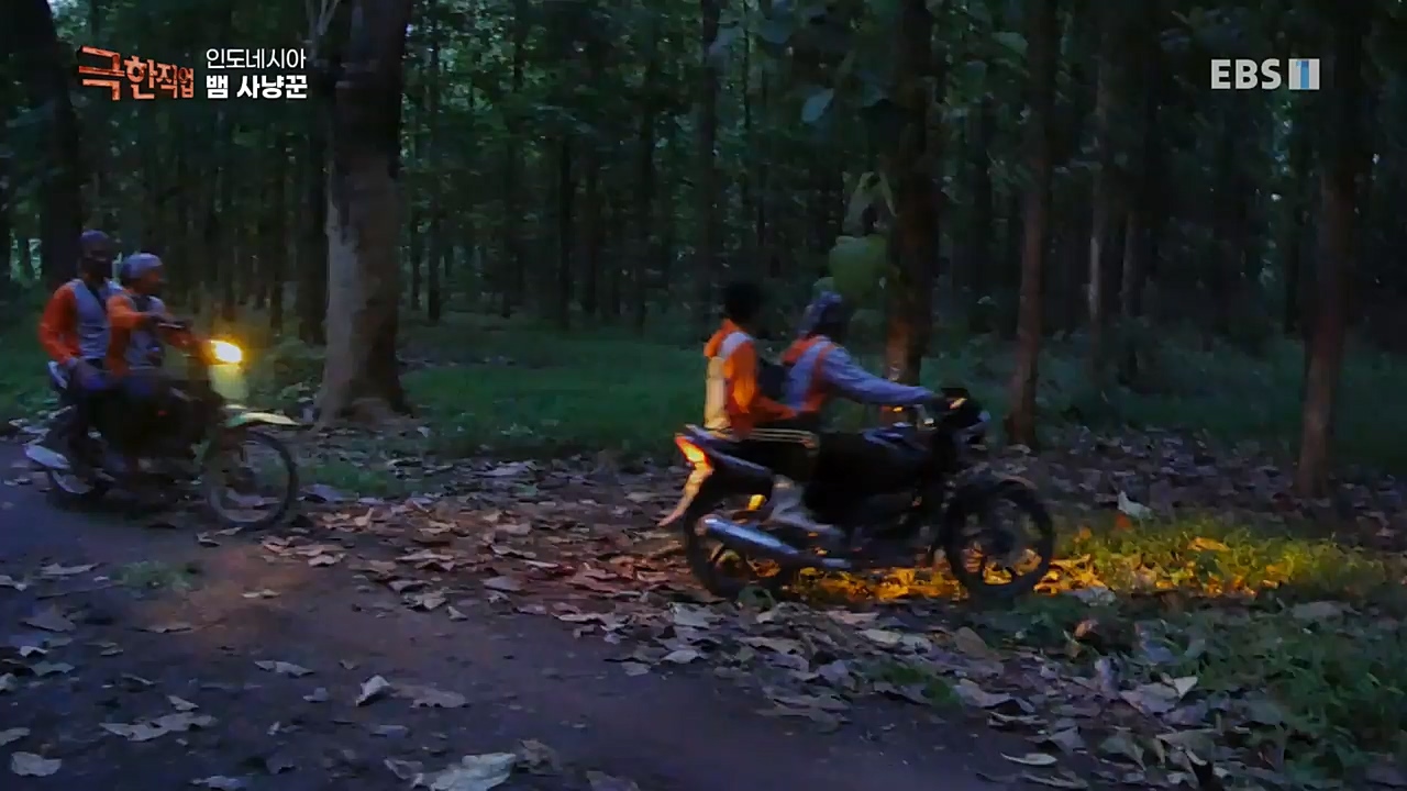 TV - 교육의 중심 EBS인도네시아 뱀사냥꾼.mp4_20221211_181507.663.jpg