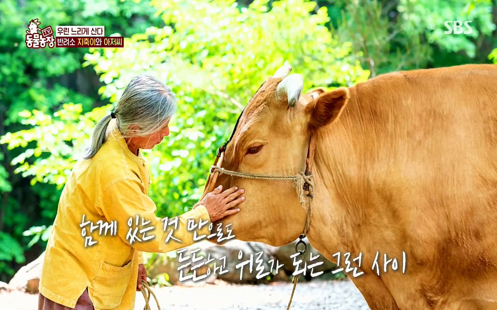 TV 동물농장.E1074.220619p.H264-F1RST.mp4_20220619_182119.201.jpg