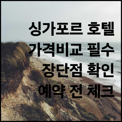 싱가포르 차이나타운 호텔 예약 전 필