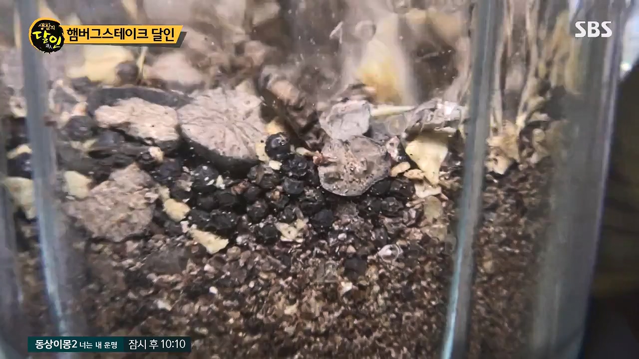 생활의 달인.E942p-NEXT.mp4_20240702_201110.588.jpg