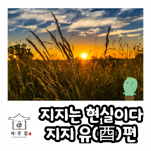 지지 유(酉)의 특징과 관련한 포스팅의 썸네일