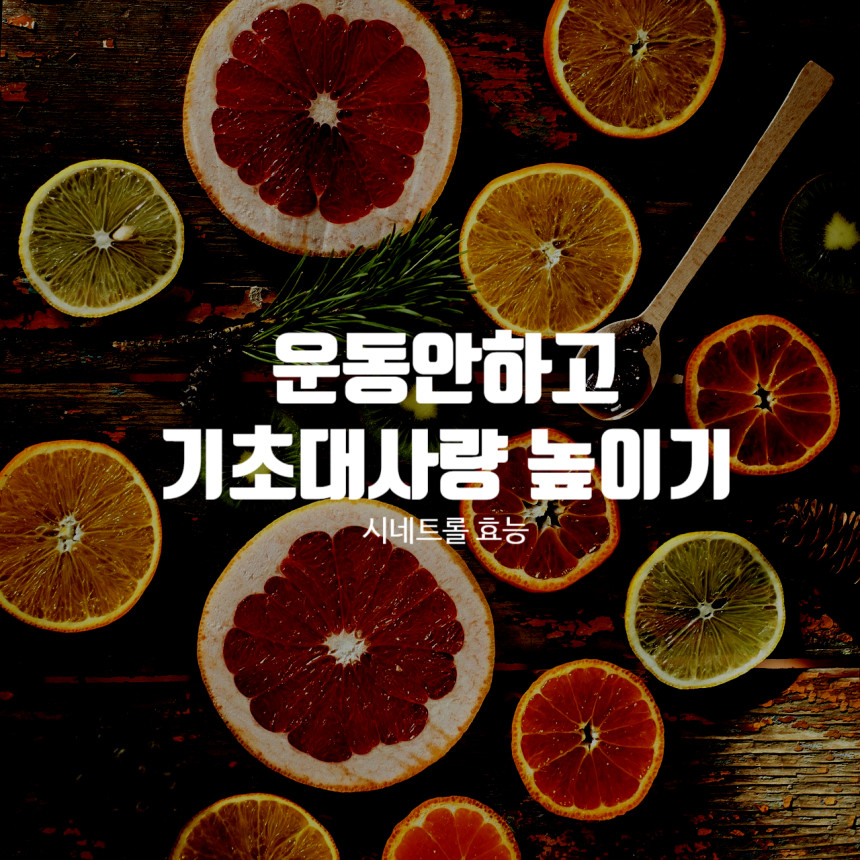  시네트롤 : 아무리먹어도 살이 안찌는사람들의 비밀