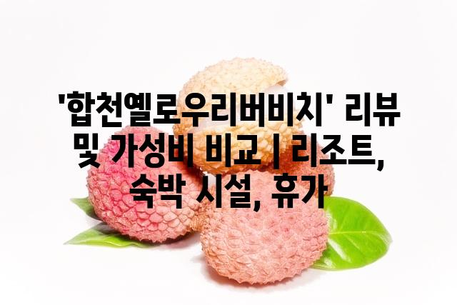 랜덤146