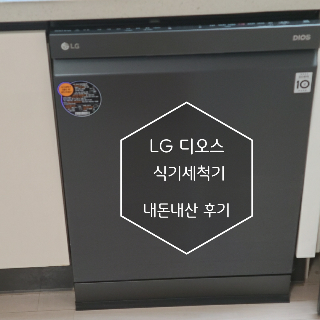  LG전자 디오스 식기세척기 DFB22M 찐만족