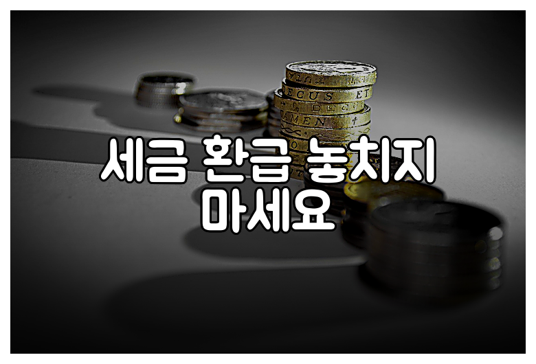 세금 환급 놓치지 마세요