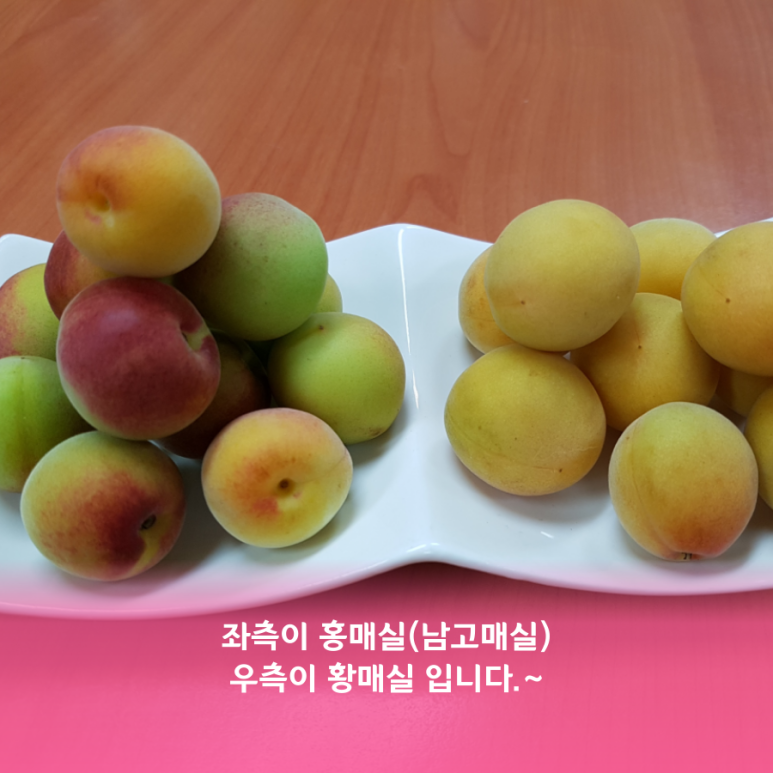 매실남녀 수확기 계절가격정보 2021 홍매실매장소 6