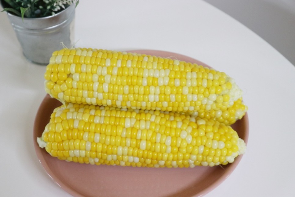 초당 옥수수 보관 냉동 냉장 2가지 방법 7