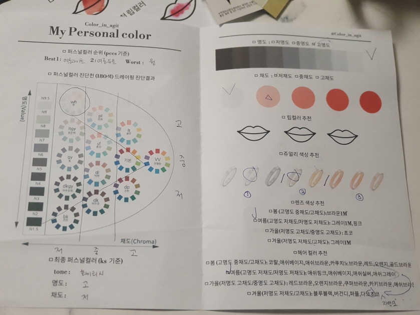 퍼스널컬러진단결과