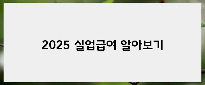 2025년 실업급여 금액의 모든 것: FAQs 안내