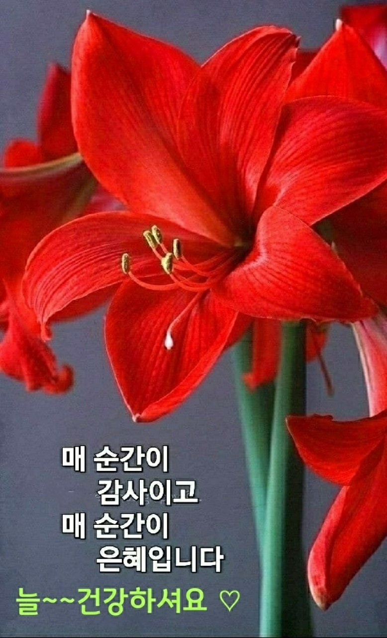  오늘의 좋은글 251번째 부자들이 말하는 성공의 비결 중 최고의 비법