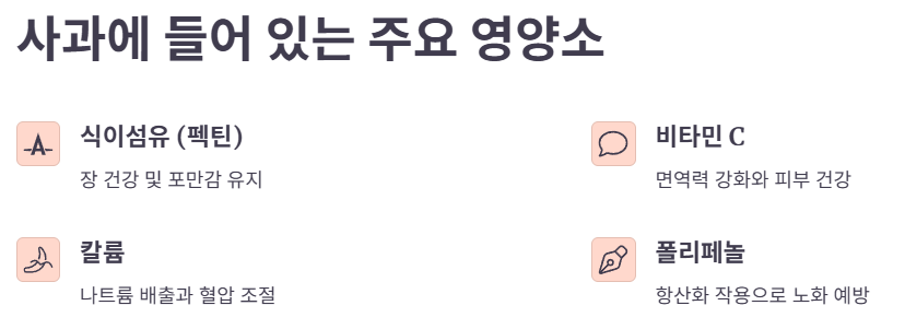 사과 사진