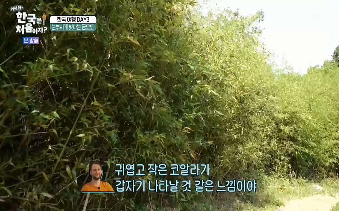 어서와 한국은 처음이지 시즌2.E220.220722p-NEXT.mp4_20220722_205239.466.jpg
