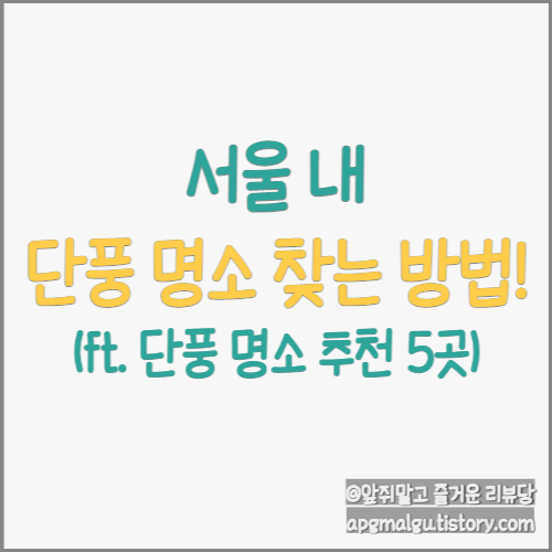  서울 걷기 좋은 단풍길 확인하는 방법! (ft.단풍 명소 추천 5곳)