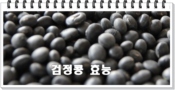  검정콩 효능