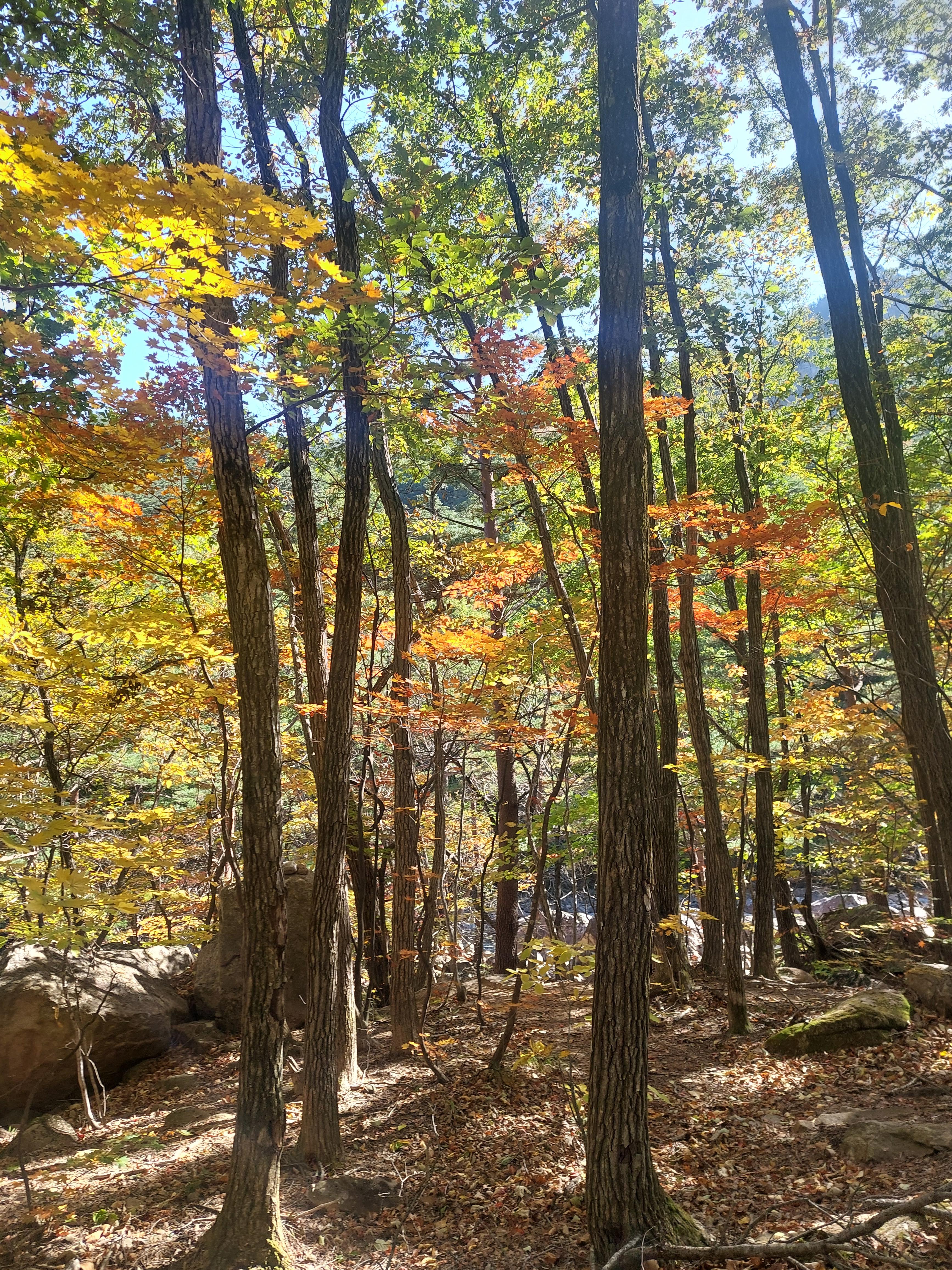 설악산
